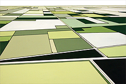 William Steiger: Aerial Survey