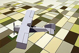 William Steiger: Flyover