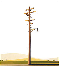 William Steiger: Telephone Pole #1